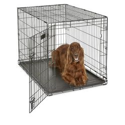 Dog Crate with cover 