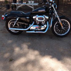 2010 Harley Davidson Sportster 1200XL Custom Low