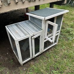 Bunny Cage 