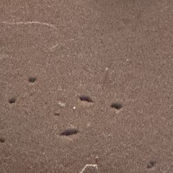 Purple Mattress Free King