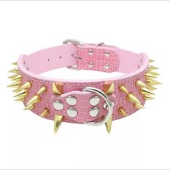 Dog Collars