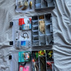 Anything You Need Fishing