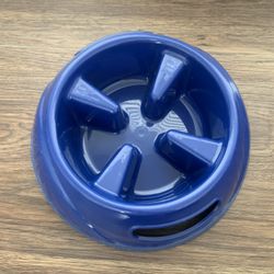 Dog Slow Feed Bowl