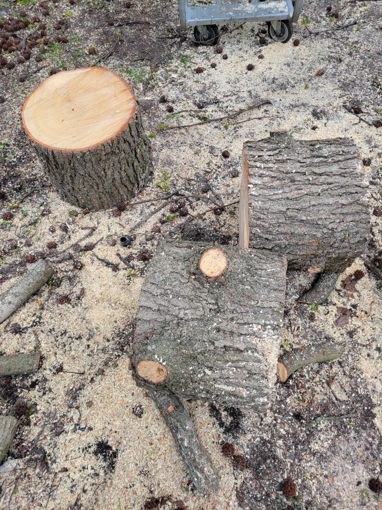 Firewood