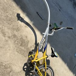 Ride Along Bike 