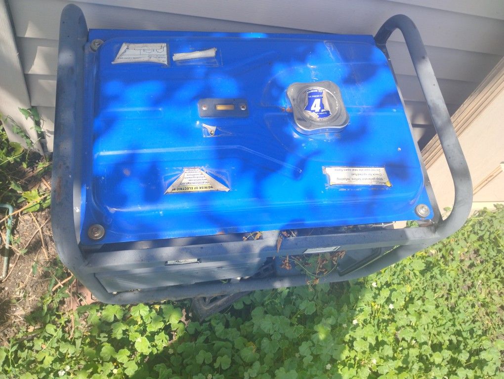 WEN Power Generator 3500