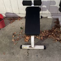 Sit Up Bench 