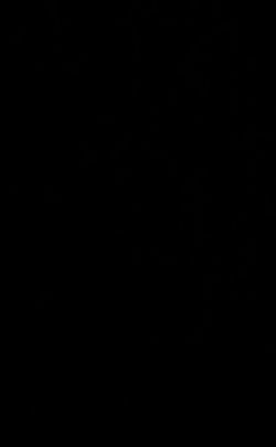 Girls pants 👖 size 12/14 an 16