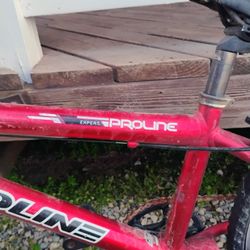 20 " Redline BMX Race Bike