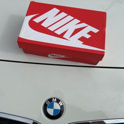Brand New Dunks Nike 