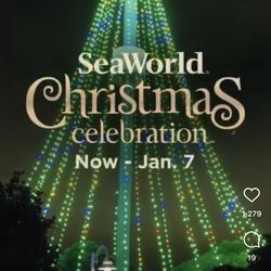 🎡🐬 SEA WORLD SAN DIEGO 🐬🎡 🎟️ DEAL $25