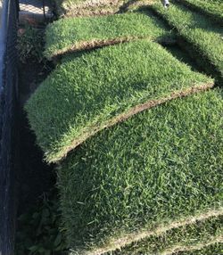 Sod Installment
