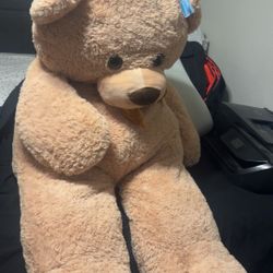 Brand New 59”  Bear 