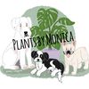PlantsbyMonica
