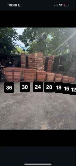 Planter redwood boxes