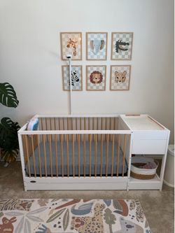 Graco Teddi Convertible Crib and Changer