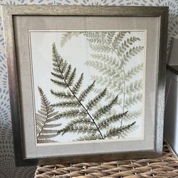 20”x20” fern art/nature art with metal frame and linen mat