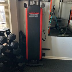 Weider Ultimate Body Works