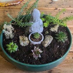 Cute Ceramic Round Flower Pot With Succulents And Buddha Figurine 