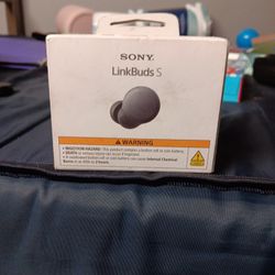 Linkbuds S 