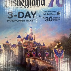 Disney 3 day Hopper