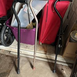 Asst. Walking Sticks