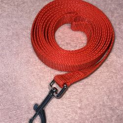 BRAND NEW RED LEASH!!