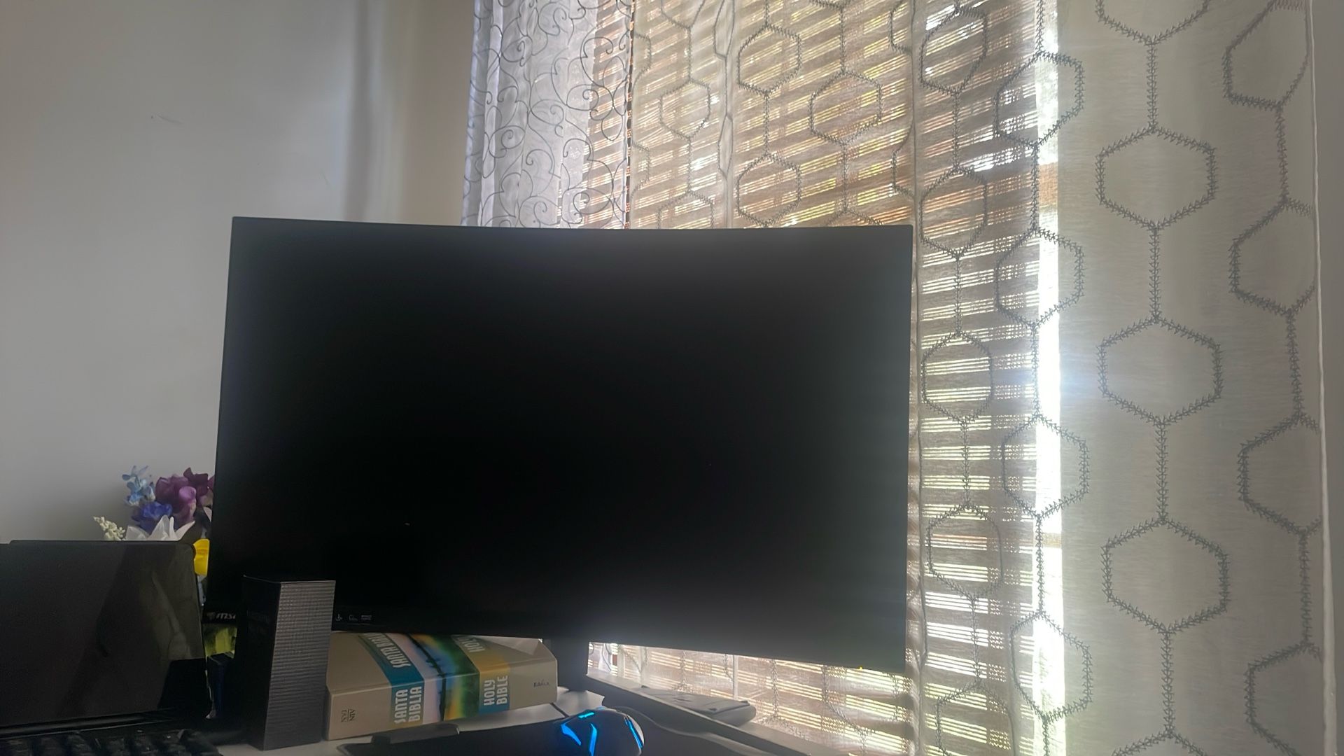 Monitor