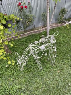 Two Reindeer