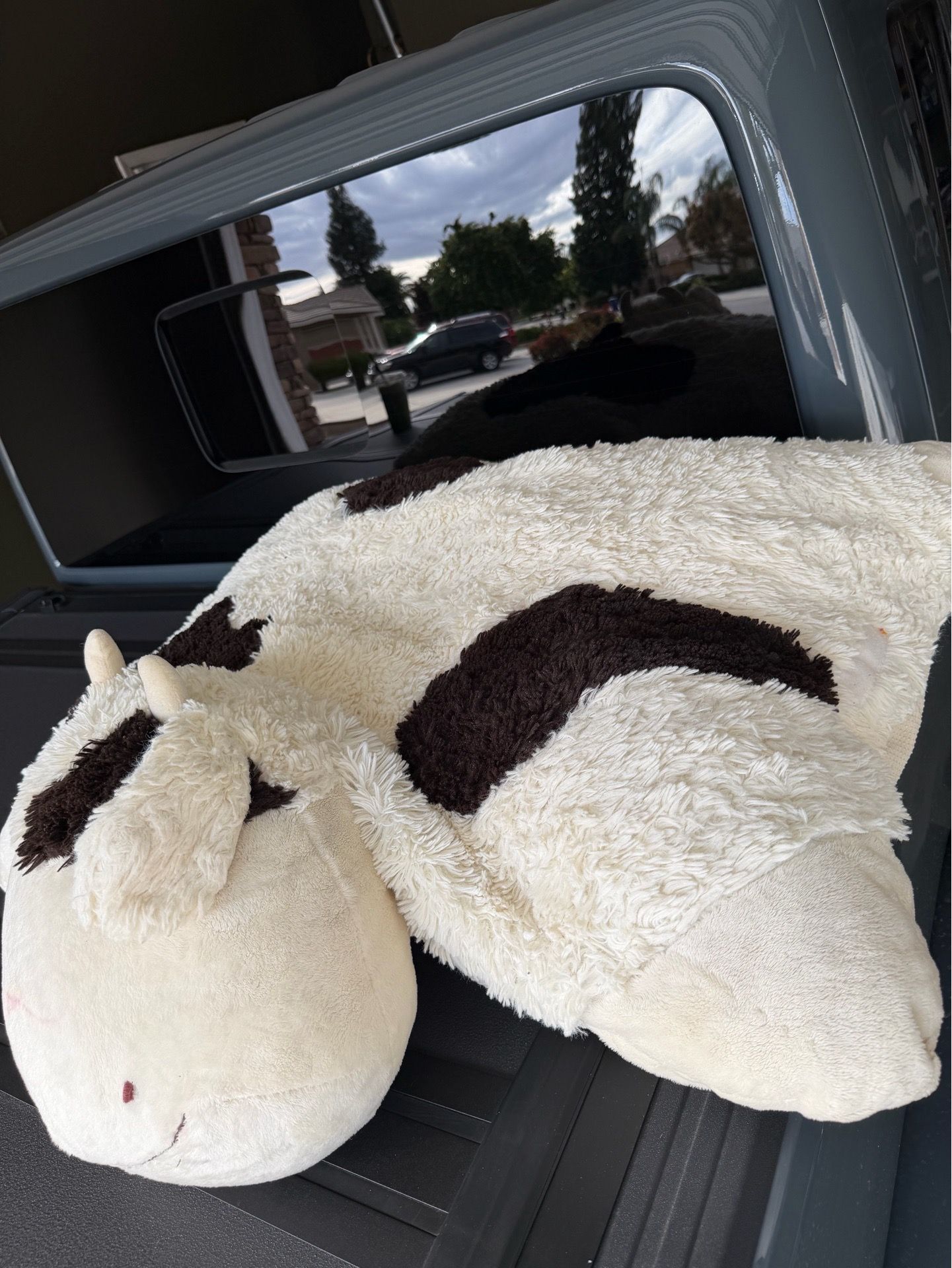 Big cow pillow