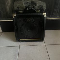 Peavey Ecoustic E20 Amp