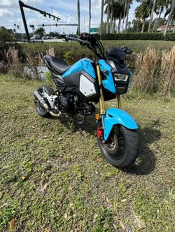 2019 Honda Grom