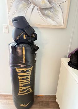 Boxing bag/gloves and stand