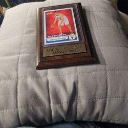 Plaque  2004-05 Topps Bazooka #185 Andres Nocioni rookie card. 
Chicago Bulls 