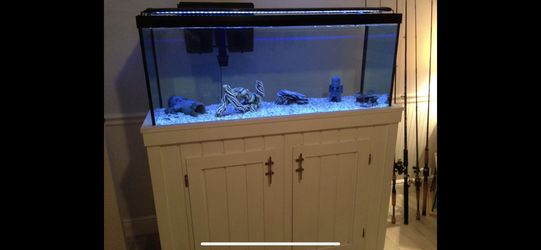 75 Gallon Fish Tank With Custom Built Stand