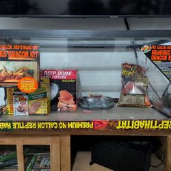 Bearded Dragon Kit - Terrarium 