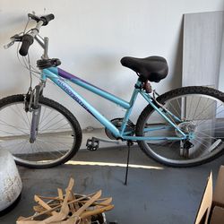 Roadmaster Mountain bike 18 speed