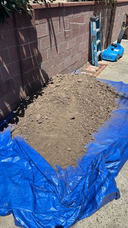 Dirt *Free*