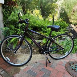 Cannondale Quick 6 Women's Bike