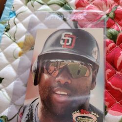 Tony Gwynn Baseball Cards 