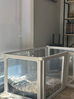 Dog Apartment