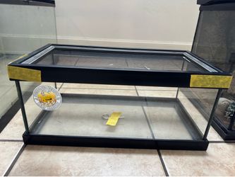 Brand New Reptile Enclosure 📦