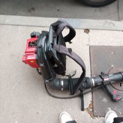 Troy blit backpack blower