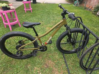 Coop bicycle
