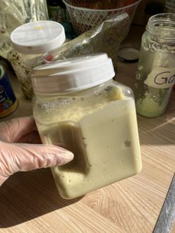 Pure Garlic Paste Food