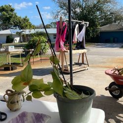 Garage Sale TODAY Right Now