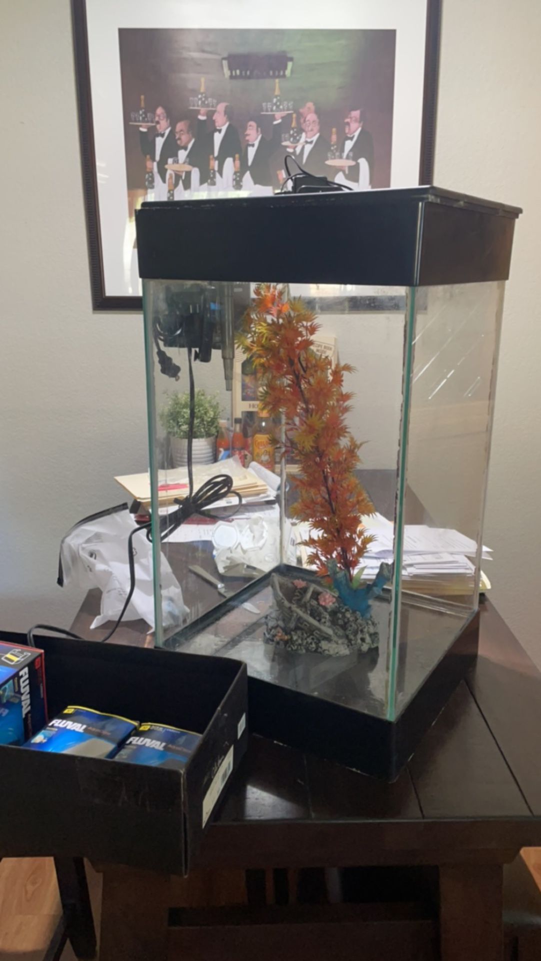 20 Gallon Tall Fish Tank for Sale in Phoenix, AZ OfferUp 20 Gallon Tall Fish Tank for Sale in Phoenix, AZ OfferUp