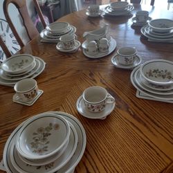 Stoneware Dinner Service ...Plus!!!!