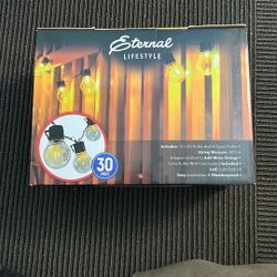 LED String Light 30ft