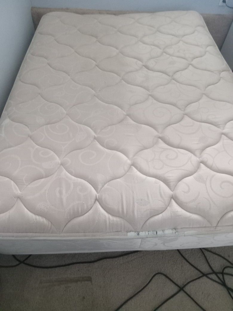 Queen Beauty Rest Mattress 